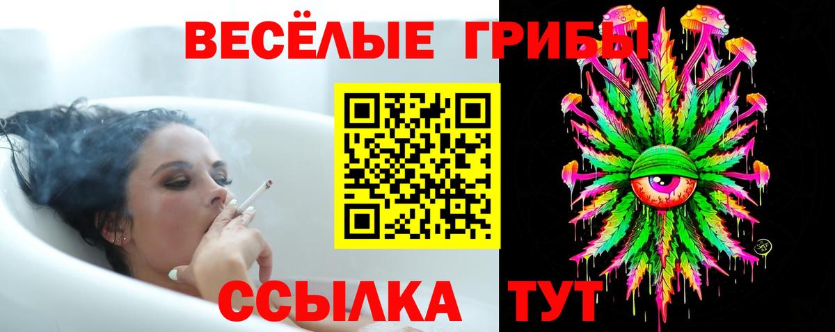 Галлюциногенные грибы прущие грибы  Вход с VPN  Хабаровск 