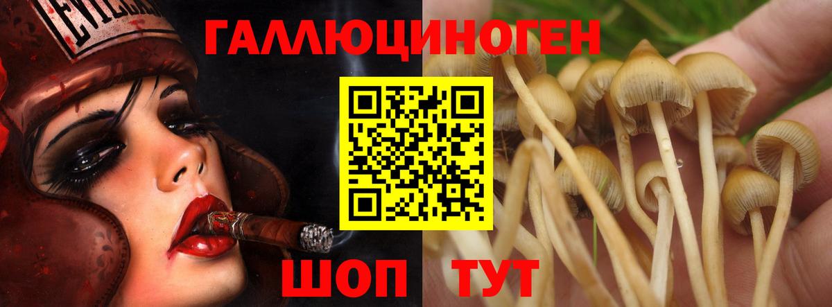 Галлюциногенные грибы Cubensis Хабаровск